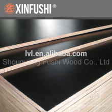black film faced plywood for Zambia market